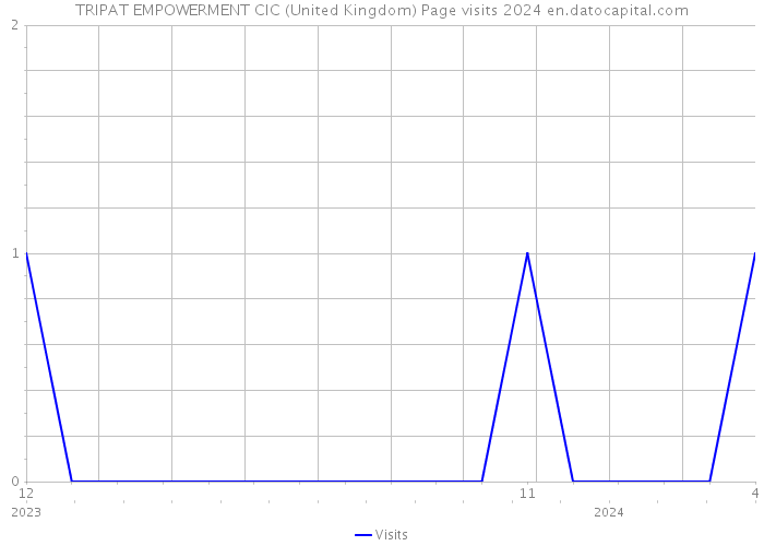 TRIPAT EMPOWERMENT CIC (United Kingdom) Page visits 2024 