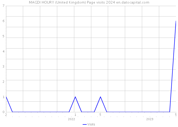 MAGDI HOURY (United Kingdom) Page visits 2024 