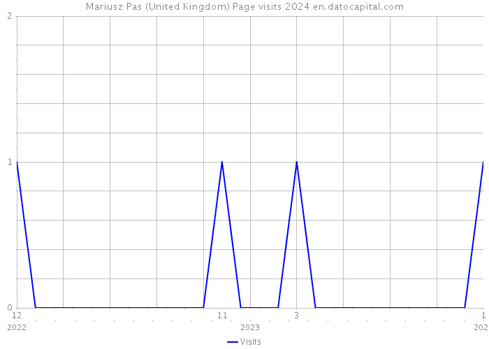 Mariusz Pas (United Kingdom) Page visits 2024 