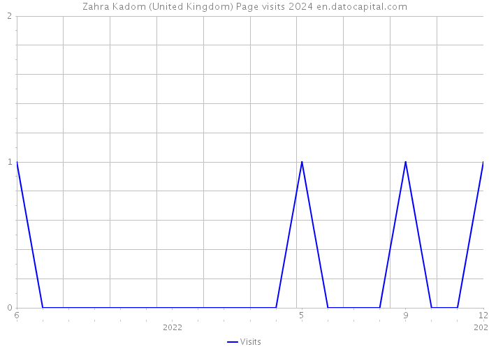 Zahra Kadom (United Kingdom) Page visits 2024 