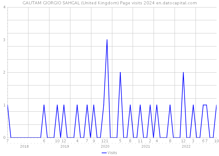 GAUTAM GIORGIO SAHGAL (United Kingdom) Page visits 2024 