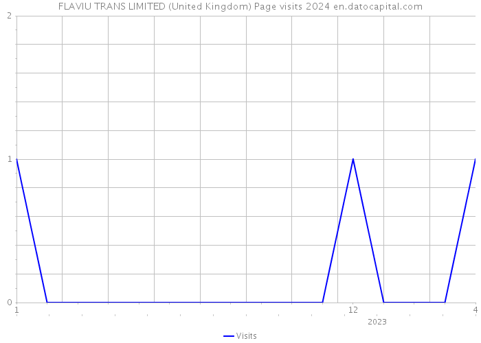FLAVIU TRANS LIMITED (United Kingdom) Page visits 2024 