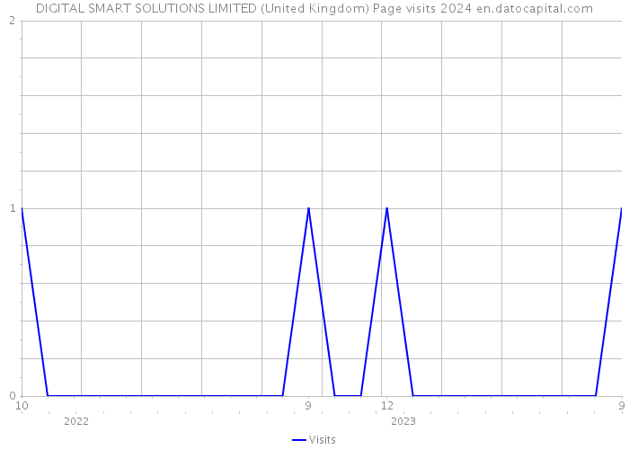 DIGITAL SMART SOLUTIONS LIMITED (United Kingdom) Page visits 2024 