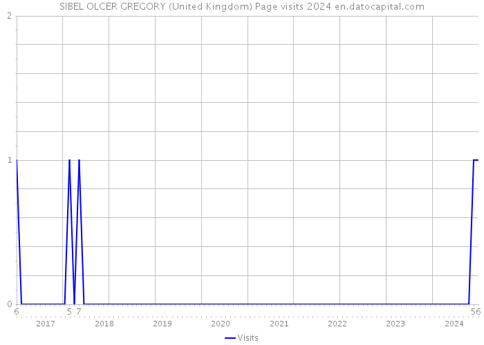 SIBEL OLCER GREGORY (United Kingdom) Page visits 2024 