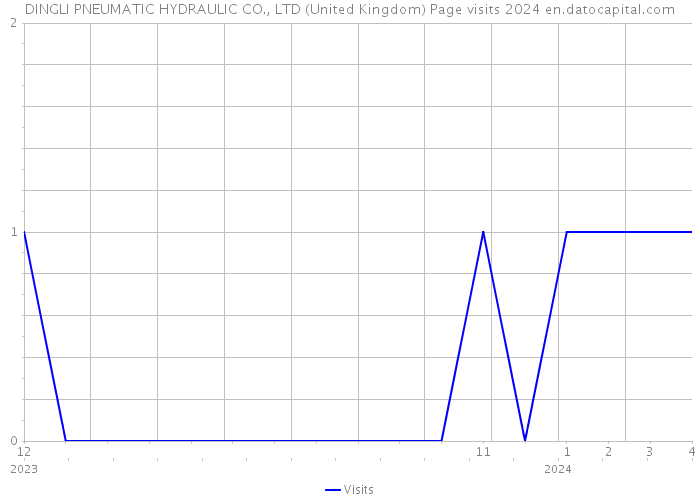 DINGLI PNEUMATIC HYDRAULIC CO., LTD (United Kingdom) Page visits 2024 