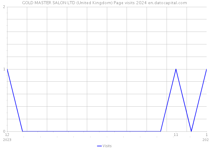 GOLD MASTER SALON LTD (United Kingdom) Page visits 2024 