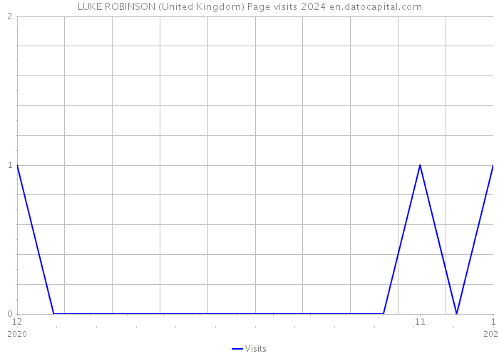 LUKE ROBINSON (United Kingdom) Page visits 2024 