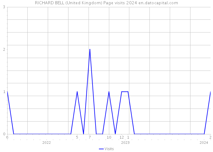 RICHARD BELL (United Kingdom) Page visits 2024 