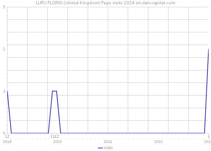LUPU FLORIN (United Kingdom) Page visits 2024 