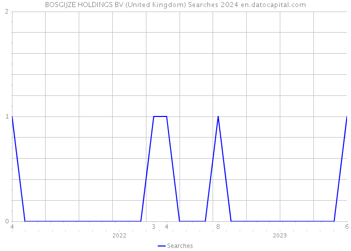 BOSGIJZE HOLDINGS BV (United Kingdom) Searches 2024 