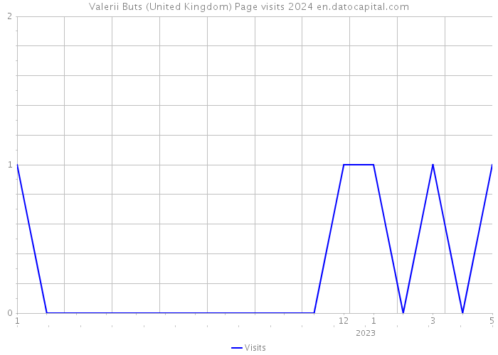 Valerii Buts (United Kingdom) Page visits 2024 