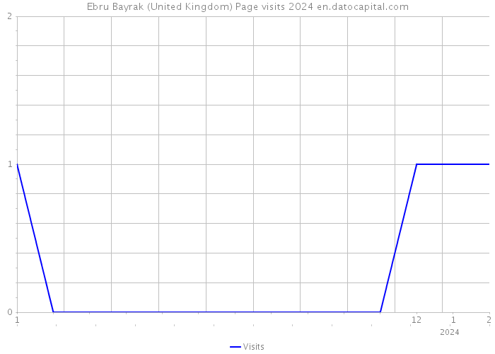 Ebru Bayrak (United Kingdom) Page visits 2024 