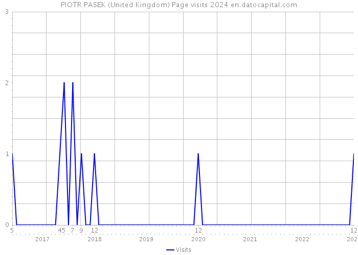 PIOTR PASEK (United Kingdom) Page visits 2024 