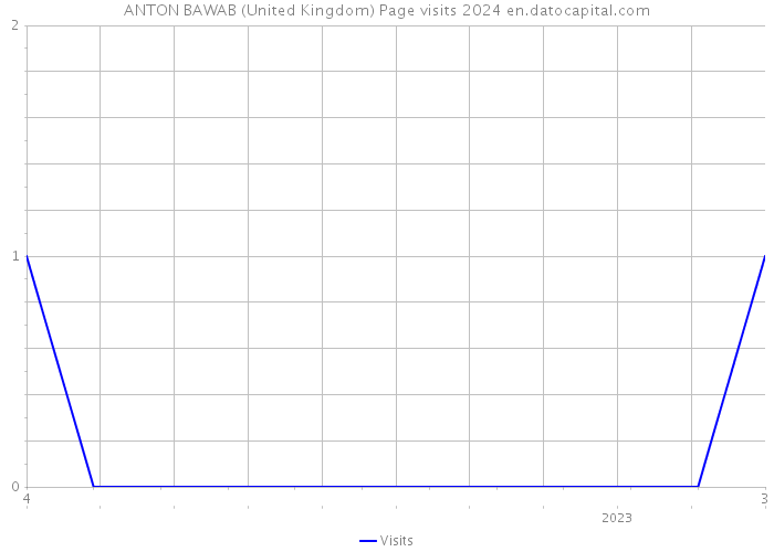 ANTON BAWAB (United Kingdom) Page visits 2024 