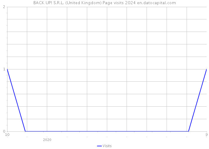 BACK UP! S.R.L. (United Kingdom) Page visits 2024 