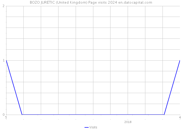 BOZO JURETIC (United Kingdom) Page visits 2024 
