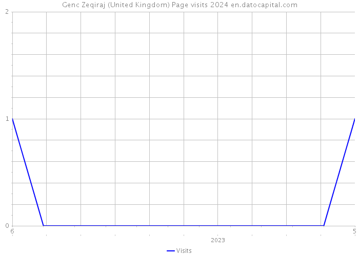 Genc Zeqiraj (United Kingdom) Page visits 2024 
