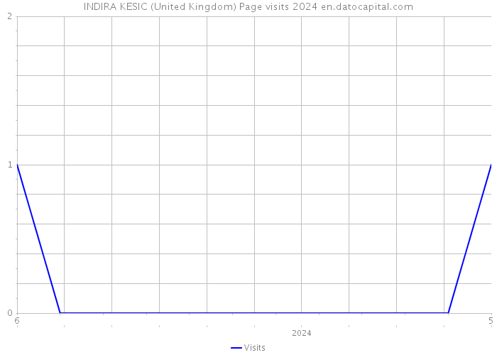 INDIRA KESIC (United Kingdom) Page visits 2024 