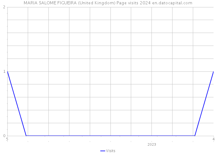 MARIA SALOME FIGUEIRA (United Kingdom) Page visits 2024 