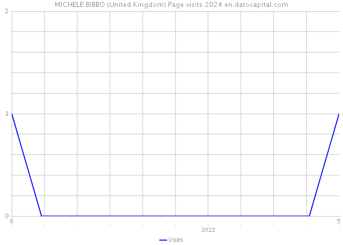MICHELE BIBBO (United Kingdom) Page visits 2024 
