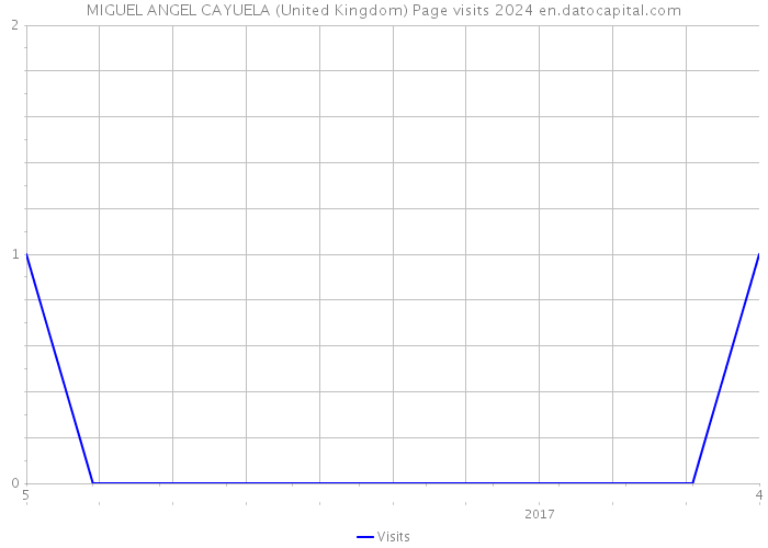 MIGUEL ANGEL CAYUELA (United Kingdom) Page visits 2024 