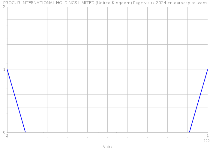 PROCUR INTERNATIONAL HOLDINGS LIMITED (United Kingdom) Page visits 2024 