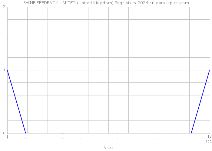 SHINE FEEDBACK LIMITED (United Kingdom) Page visits 2024 