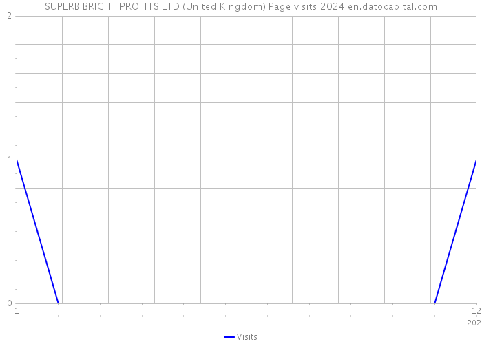 SUPERB BRIGHT PROFITS LTD (United Kingdom) Page visits 2024 