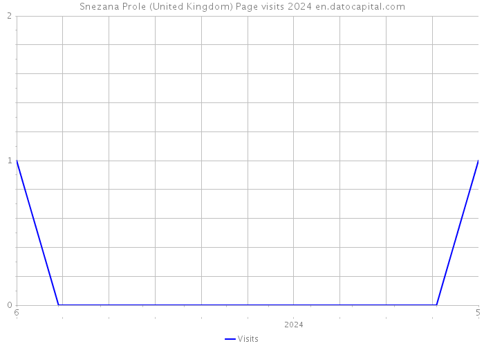 Snezana Prole (United Kingdom) Page visits 2024 