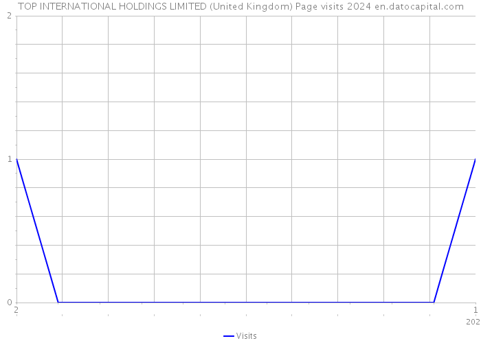 TOP INTERNATIONAL HOLDINGS LIMITED (United Kingdom) Page visits 2024 