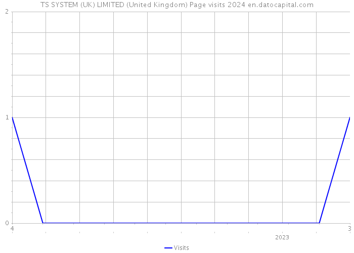 TS SYSTEM (UK) LIMITED (United Kingdom) Page visits 2024 