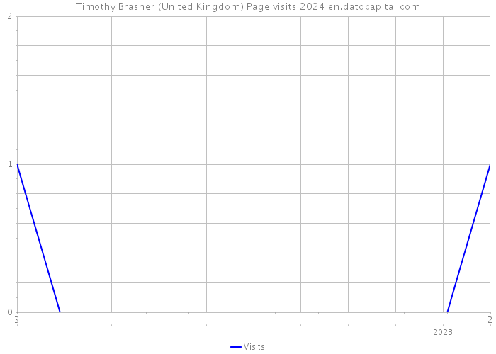 Timothy Brasher (United Kingdom) Page visits 2024 