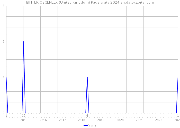 BIHTER OZGENLER (United Kingdom) Page visits 2024 