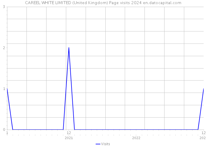CAREEL WHITE LIMITED (United Kingdom) Page visits 2024 