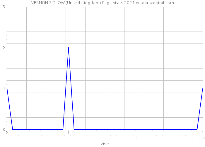 VERNON SIDLOW (United Kingdom) Page visits 2024 