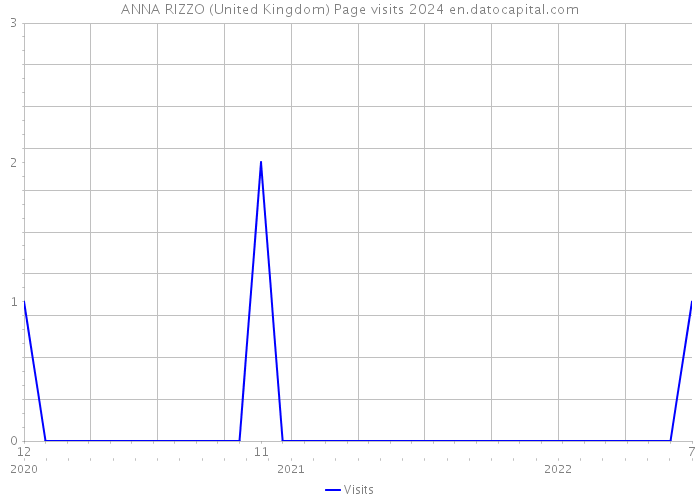 ANNA RIZZO (United Kingdom) Page visits 2024 