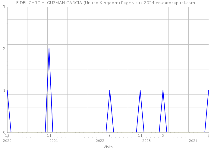 FIDEL GARCIA-GUZMAN GARCIA (United Kingdom) Page visits 2024 
