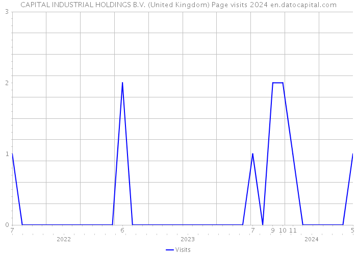 CAPITAL INDUSTRIAL HOLDINGS B.V. (United Kingdom) Page visits 2024 