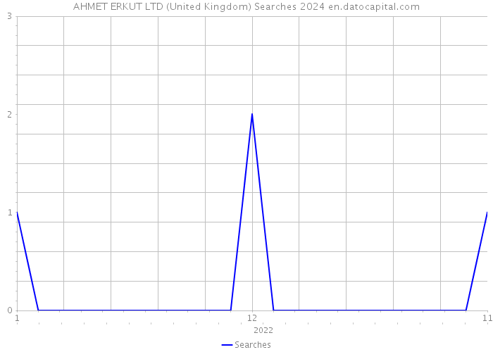 AHMET ERKUT LTD (United Kingdom) Searches 2024 