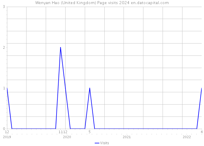 Wenyan Hao (United Kingdom) Page visits 2024 