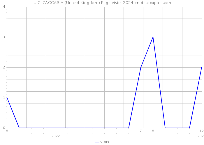 LUIGI ZACCARIA (United Kingdom) Page visits 2024 