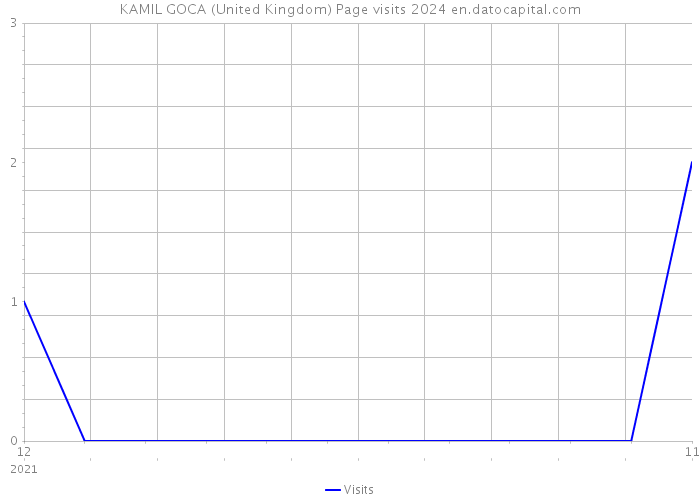 KAMIL GOCA (United Kingdom) Page visits 2024 