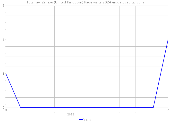 Tutsirayi Zembe (United Kingdom) Page visits 2024 