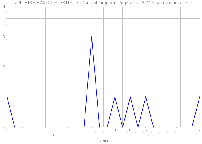 PURPLE DOVE ASSOCIATES LIMITED (United Kingdom) Page visits 2024 