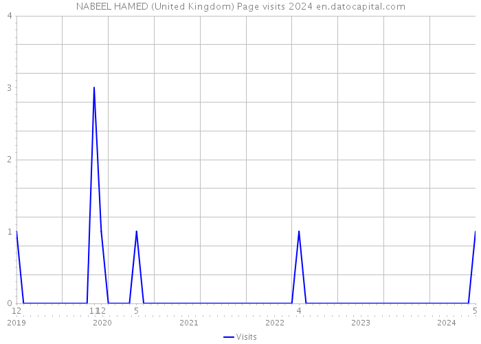 NABEEL HAMED (United Kingdom) Page visits 2024 