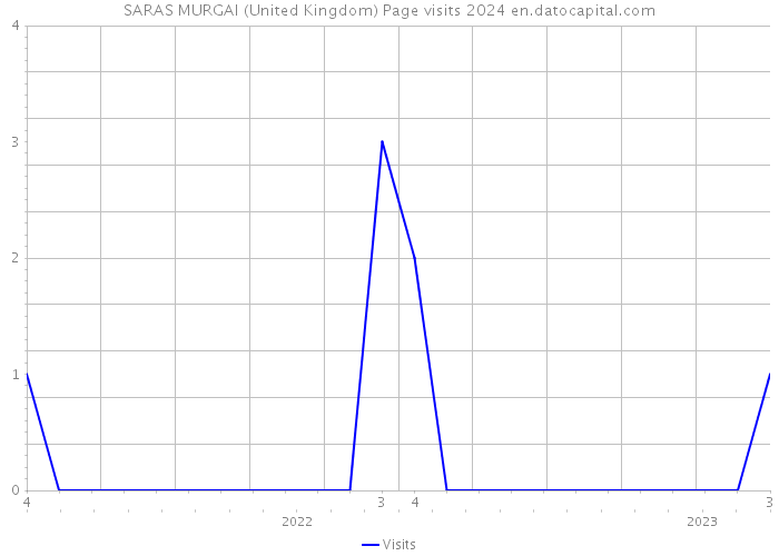 SARAS MURGAI (United Kingdom) Page visits 2024 