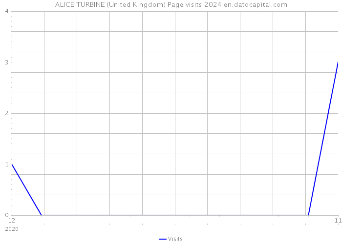 ALICE TURBINE (United Kingdom) Page visits 2024 