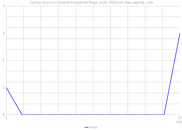 Cecilia Gozzoli (United Kingdom) Page visits 2024 