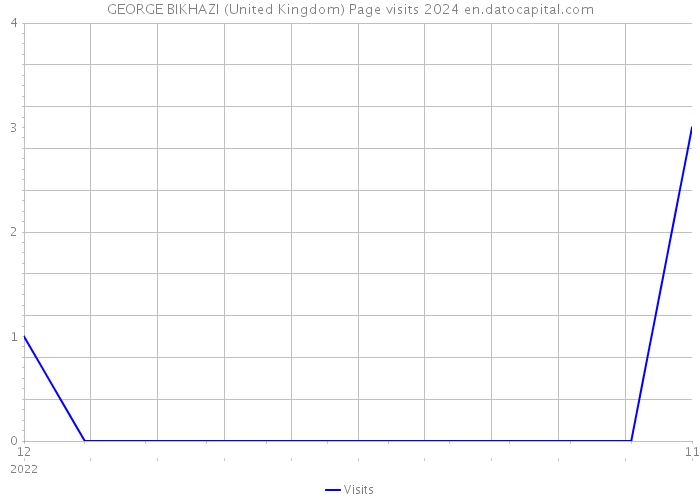 GEORGE BIKHAZI (United Kingdom) Page visits 2024 
