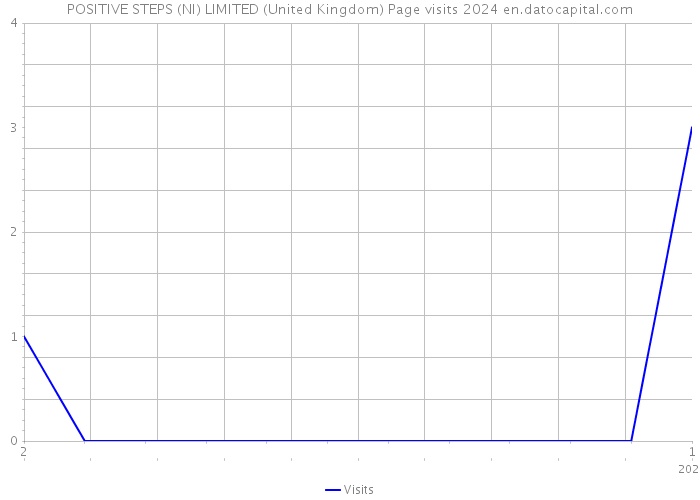 POSITIVE STEPS (NI) LIMITED (United Kingdom) Page visits 2024 